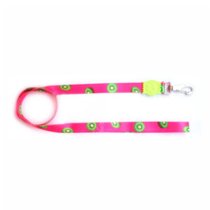 Guia Premium Kiwi Pequena