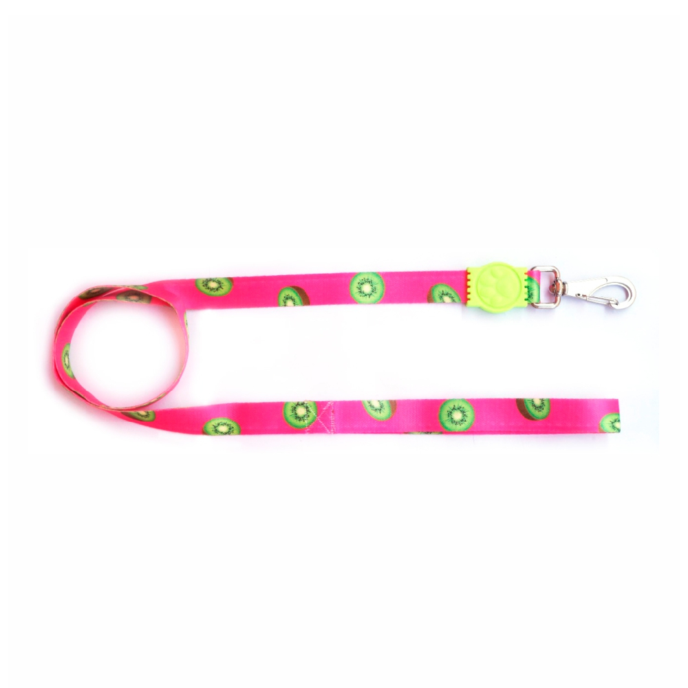 Guia Premium Kiwi Pequena